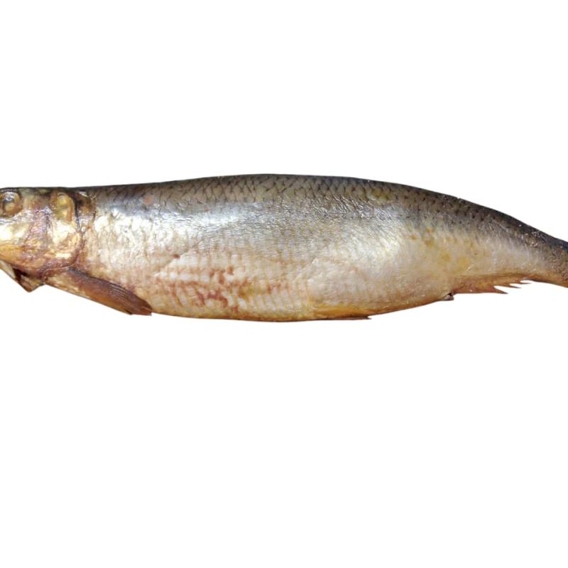 رنجه دلعه بطروخ خشن