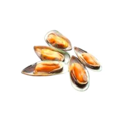 بلح البحر نص صدفة