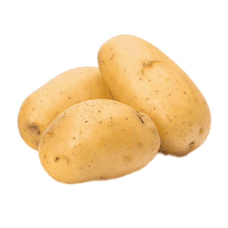 بطاطس تحمير شمال سينا