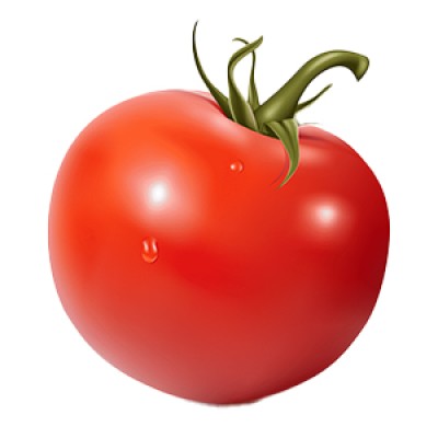 طماطم حمراء جامدة