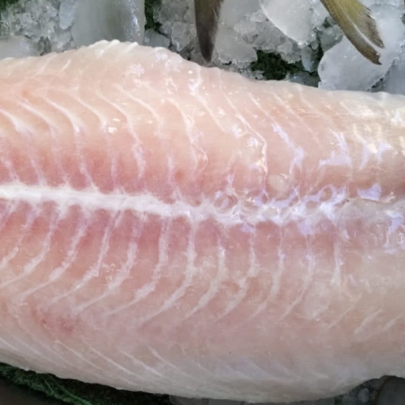 فيليه قشر بياض نيلي مصري