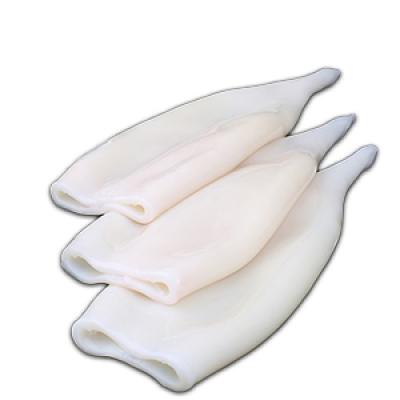 كاليماري اقماع صيني