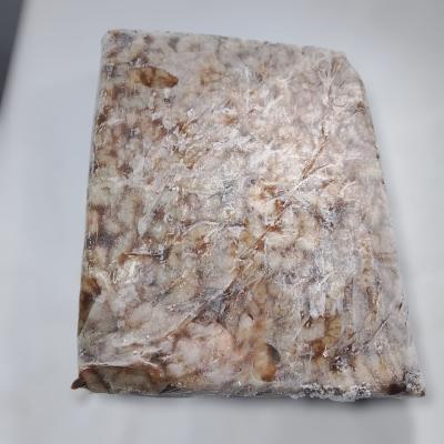 جمبري بلدي بلاطات سويسي علي قزاز