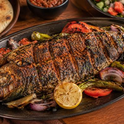سمك ماكريل