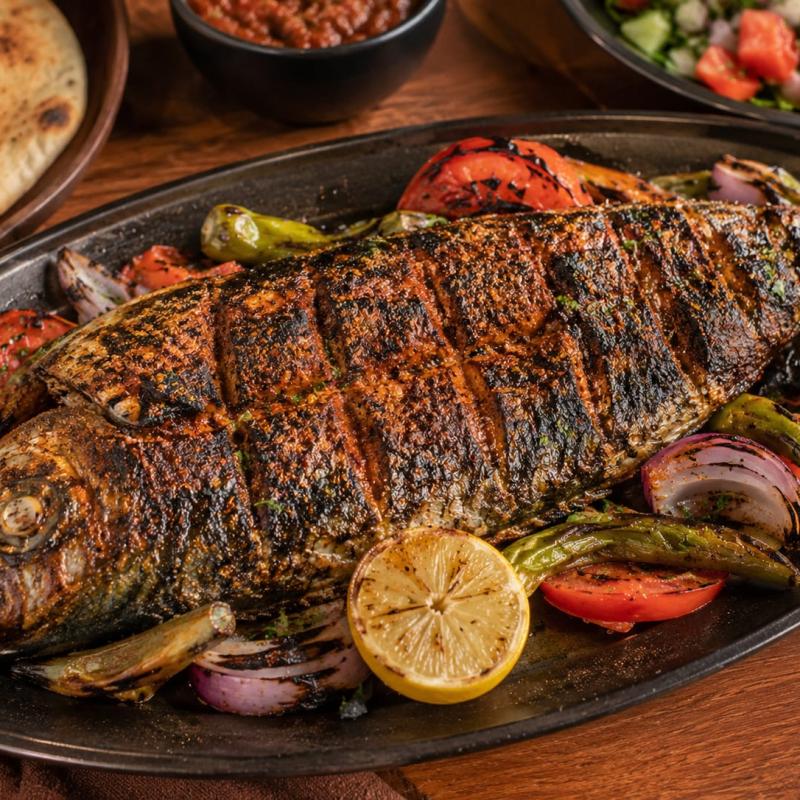 سمك ماكريل